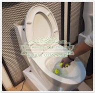 Cách thông bồn cầu bằng nước đá khi bồn cầu tắc