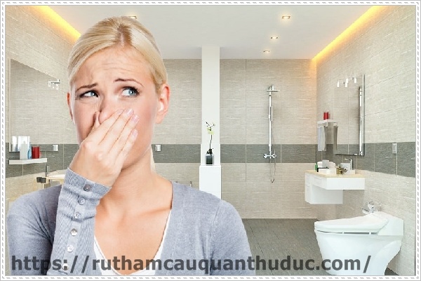 Tại sao nhà vệ sinh có mùi hôi