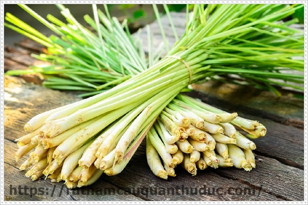 Sử dụng Sả thay thế các hóa chất không an toàn cho sức khỏe