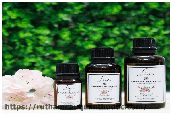 Khử mùi hôi nhà vệ sinh công cộng bằng tinh dầu