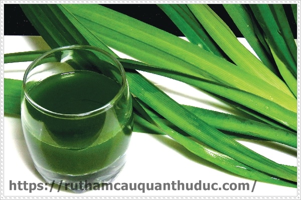 Lá dứa giúp khử đi mùi hôi bốc lến từ ống cống nhà vệ sinh