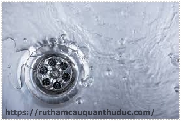 Dội nước thật sạch sau mỗi lần đi vệ sinh và sàn nhà vệ sinh