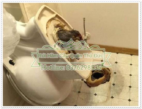 Tắc nghẽn do vật cứng rơi xuống