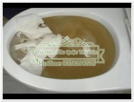 C&aacute;c nguy&ecirc;n nh&acirc;n g&acirc;y tắc cống bồn cầu