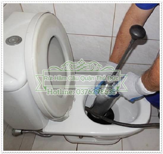 Sử dụng cây thông bồn cầu khi bị tắc