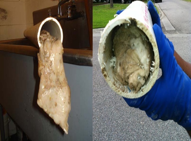 Ống thoát nước bị tắc nghẽn